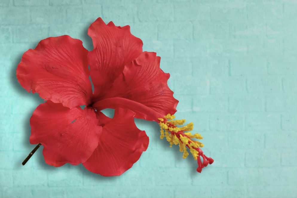 Gumpaste Hibiscus FONDBITES